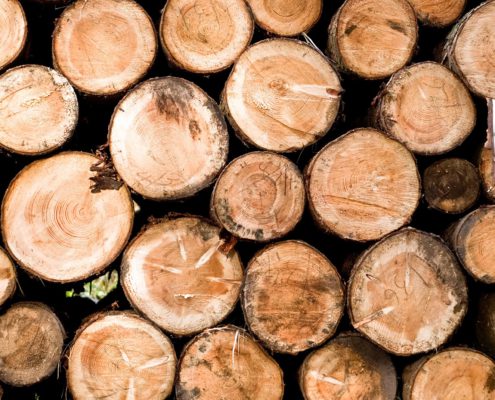 Wood-01